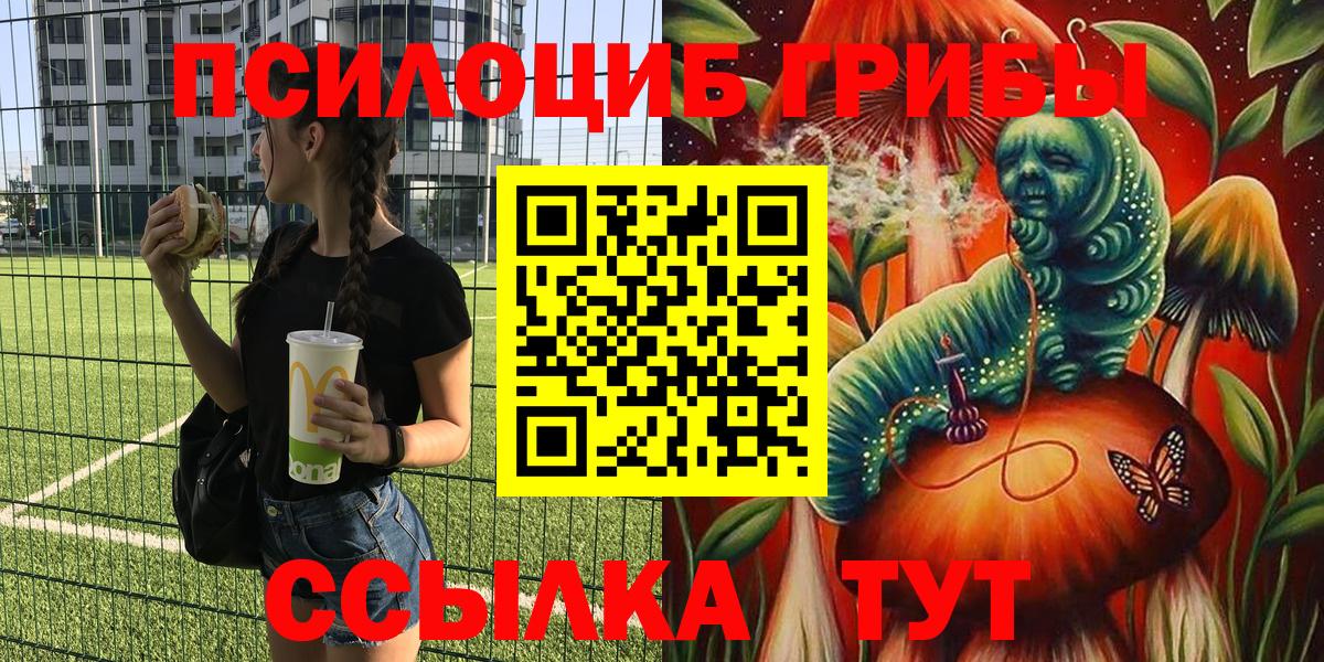 Галлюциногенные грибы мухоморы  Псилоцибиновые грибы Psilocybe  Зерноград  Вход с VPN 